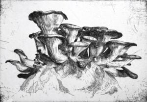 Blue Oyster Mushrooms, 2022, Copper etching on cotton rag paper, Ed. 100 7 x 5” (image), 12 x 9” (paper)