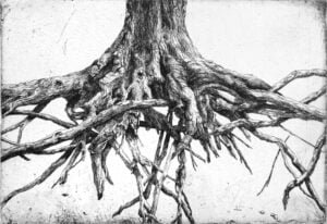 Sugar Maple II, Sulphur Springs 2020, Copper etching on cotton rag paper, Ed. 50 7 x 4 ¾” (image), 12 x 9” (paper)